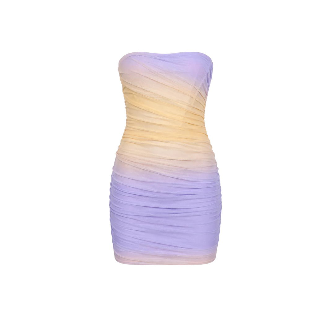 Zara Lilac & Beige Ombre Mesh Mini Dress