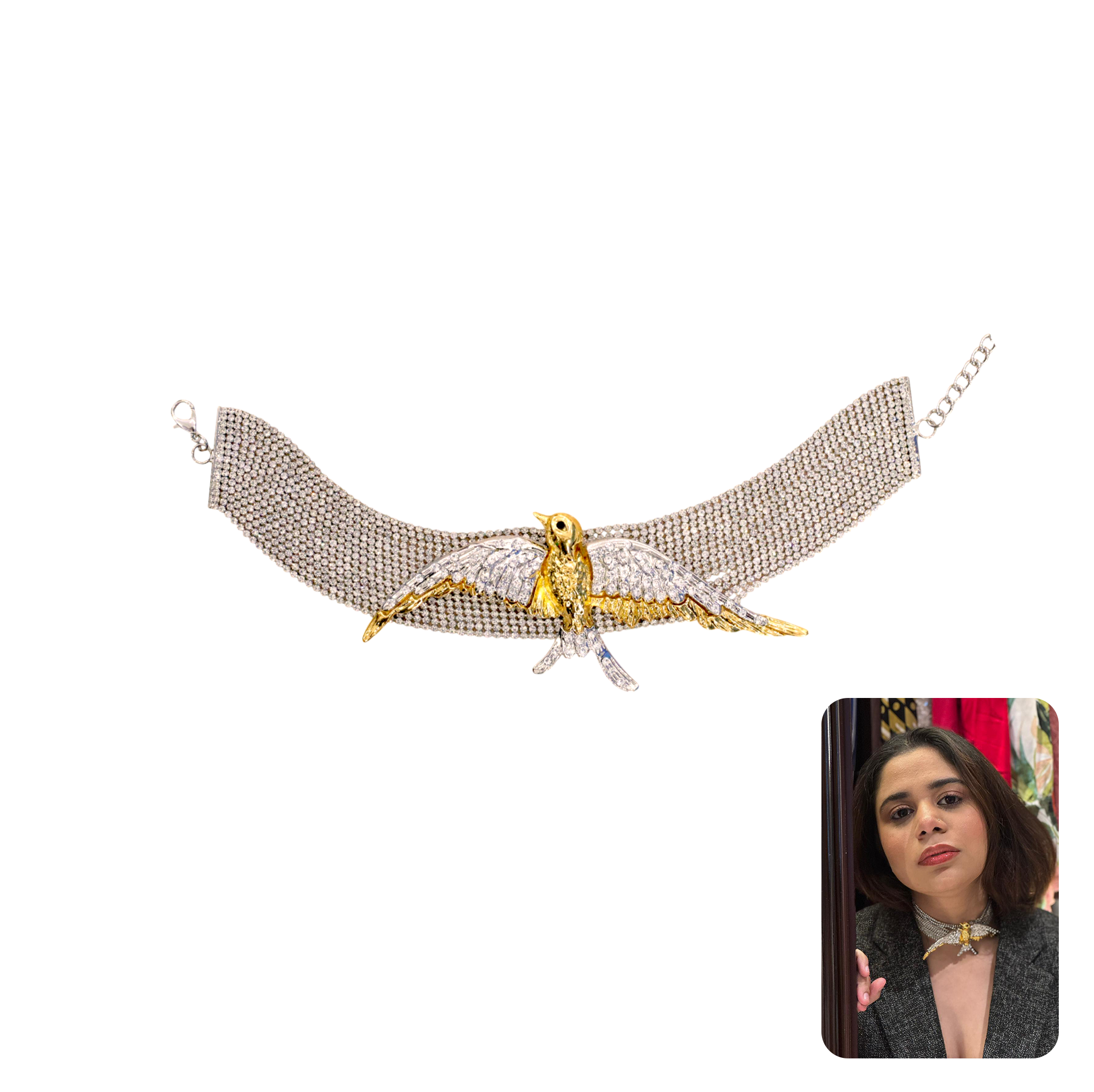 Dual-toned Bird Necklace